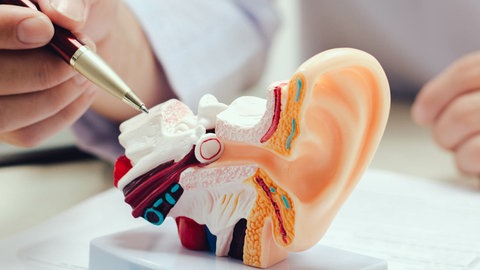 Gut zu Wissen: Wie kann man Ohrenentzündungen behandeln