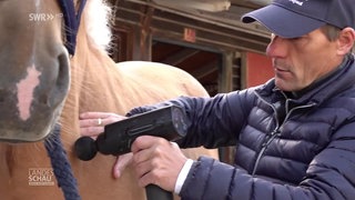 Pferdephysiotherapeut Lennart Hammer-Hansen