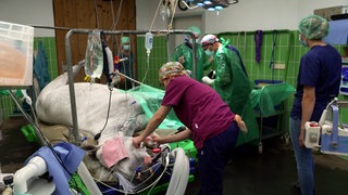 In der Pferdeklinik in Kirchheim liegt ein Pferd auf dem OP-Tisch und wird operiert.