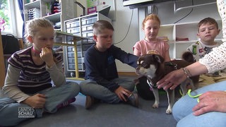 Hündin Hildegard ist von Kindern umringt und wird gestreichelt