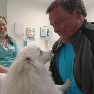 Therapiehund Jara nimmt die Angst vorm Zahnarzt