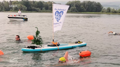 12 Sportler durchqueren Bodensee