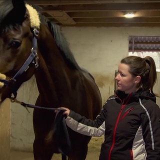 Eine Frau und ein Pferd