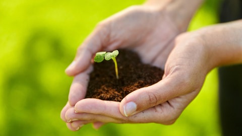 Heilsam für Körper und Psyche: Wie Gartenarbeit als Therapie wirkt