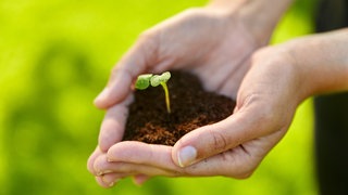 Heilsam für Körper und Psyche: Wie Gartenarbeit als Therapie wirkt