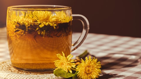Tee aus Löwenzahnblüten | Wildkraut mit gesunden Bitterstoffen: Löwenzahn