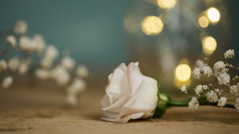 Eine weiße Rose liegt auf Sandstein. Tod - Trauer - Sterben. Über den Tod, das Sterben und die Trauer wird viel zu wenig gesprochen. Deshalb tun wir es in SWR1 Baden-Württemberg! Ihr findet hier Infos zu Hospiz, Palliativmedizin, Bestattung und Trauerbegleitung.