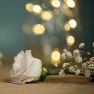 Eine weiße Rose liegt auf Sandstein. Tod - Trauer - Sterben. Über den Tod, das Sterben und die Trauer wird viel zu wenig gesprochen. Deshalb tun wir es in SWR1 Baden-Württemberg! Ihr findet hier Infos zu Hospiz, Palliativmedizin, Bestattung und Trauerbegleitung.