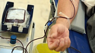 Warten auf Gerechtigkeit - Blutskandal