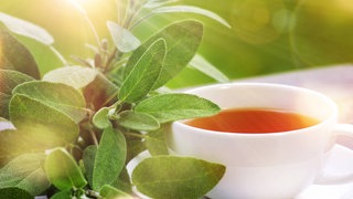 Eine Tasse mit Salbeitee | Diese Kräuter helfen bei Schnupfen und Erkältung garantiert