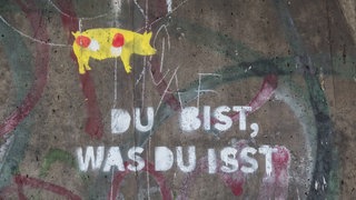 "Du bist was du isst"-Graffiti - welchen Einfluss die Ernährung auf die Bakterien - Mikrobiom - im Darm hat.