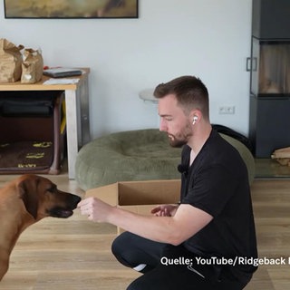 Hunde-Influencer Max Pothmann mit Hunden