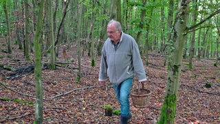 Pilzexperte Frank Krajewski streift mit seinem Körbchen durch den Wald