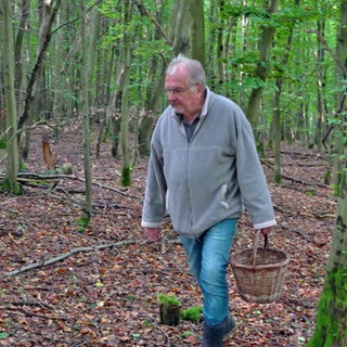 Pilzexperte Frank Krajewski streift mit seinem Körbchen durch den Wald