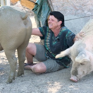 Silke Arnold kümmert sich liebevoll um ihre Schweine.