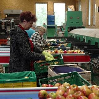 Hofgeschichten: Erntezeit auf dem Bauernhof