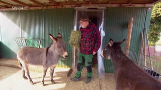Rolf Müller und zwei Esel
