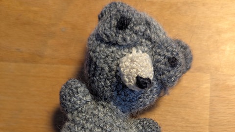 Kleiner Flugbegleiter