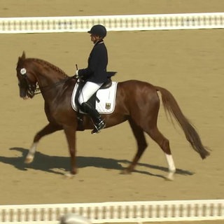 Para-Dressurreiterin Hanne Brenner