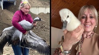 Für Tiere tut Geschäftsfrau Patricia Cerutti alles