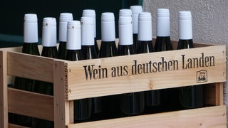Winzer Henning Harth: Wir werden Rheinhessen in zehn Jahren nicht wiedererkennen!