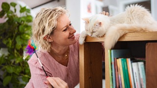 Eine Frau spielt mit einer Katze | Das erlebt ein Katzensitter, wenn die Besitzer im Urlaub sind