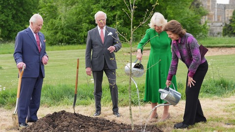 Königin Camilla von Großbritannien und Königin Silvia von Schweden gießen einen neu gepflanzen Baum. König Charles und König Carl Gustav schauen zu.