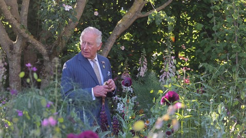 Der britische König Charles III. besucht die "Chelsea Flower Show".