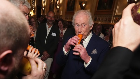 König Charles flötet auf einer Karotte