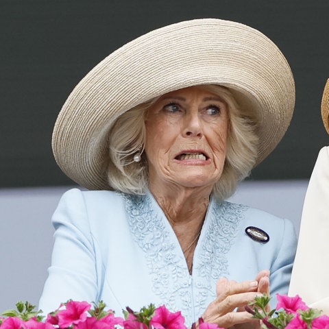 Königin Camilla mit großem beigem Hut fiebert bei einem Reitturnier mit und presst die Zähne aufeinander.