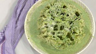 Gefüllte Cannelloni mit Ricotta-Spinat-Sauce