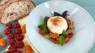 Brotsalat mit Tomaten und geflämmter Burrata