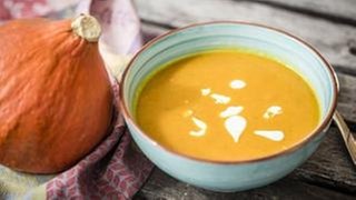 Ein Teller mit leckerer Kürbissuppe. Links angelehnt an den Suppenteller ist ein kleiner orangener Kürbis.