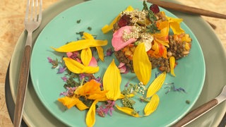 Verwilderter Linsensalat