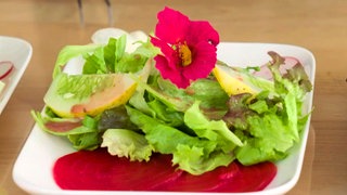 Pflücksalat mit Rote Bete-Carpaccio, gefüllten Kohlrabi, Zitronengurke und Kapuzinerkresse