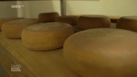 Käse