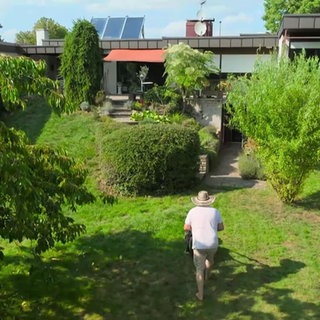 Kohlrabi Carpaccio aus dem Kindheitsgarten
