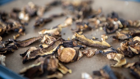 Getrocknete Pilze