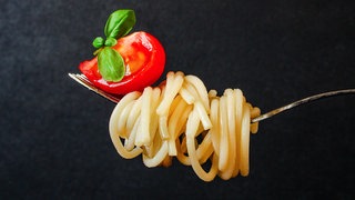 Eine Gabel mit Spaghetti und rohen Tomaten sowie Basilikum: Spaghetti alla Crudaiola