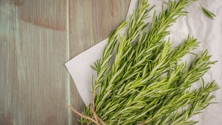 Ein Bündel frischer Rosmarin auf einem Holztisch: Rosmarin ist nicht nur beliebt als Gewürz und Hausmittel, sondern ein bewährtes Naturheilmittel in der Medizin. Wertvolle Inhaltsstoffe wirken belebend, helfen bei Neurodermitis und niedrigem Blutdruck.