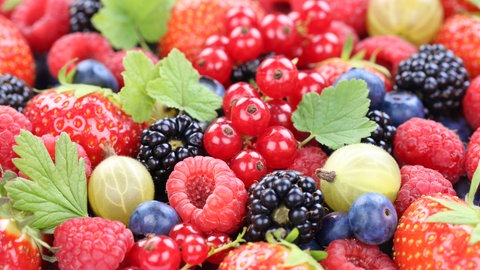 Mischung frischer Sommer-Beeren