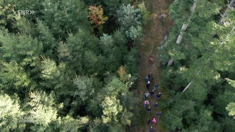Naturparkführer Andreas Walz wandert mit einer Gruppe im schwäbisch-fränkischen Wald