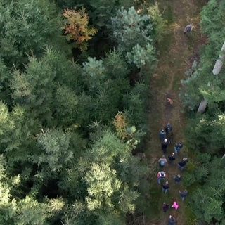 Naturparkführer Andreas Walz wandert mit einer Gruppe im schwäbisch-fränkischen Wald