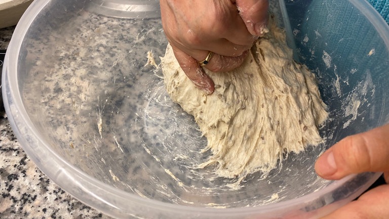 Das SWR1 Sauerteig-Experiment