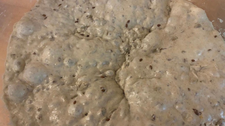 Das SWR1 Sauerteig-Experiment