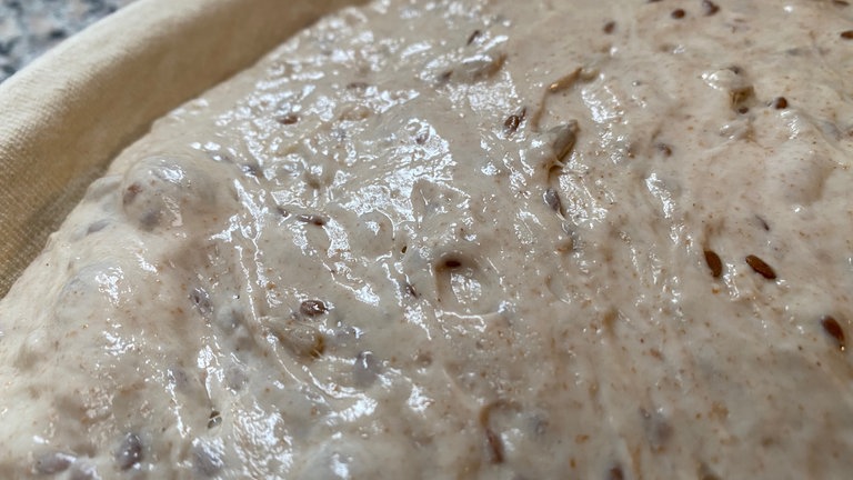 Das SWR1 Sauerteig-Experiment