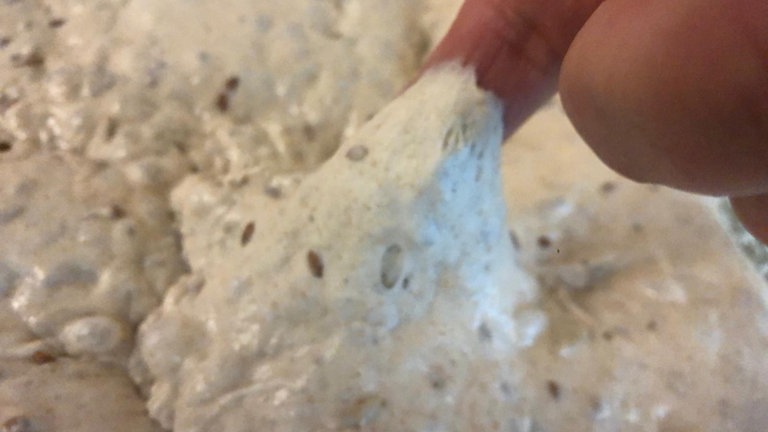 Das SWR1 Sauerteig-Experiment