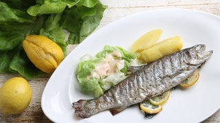 Gegrillte Forelle mit grünem Salat