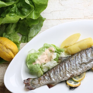 Gegrillte Forelle mit grünem Salat