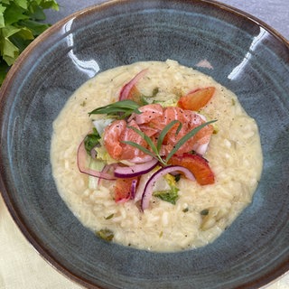 Risotto mit Blutorange, Endivie und Lachs-Tatar 